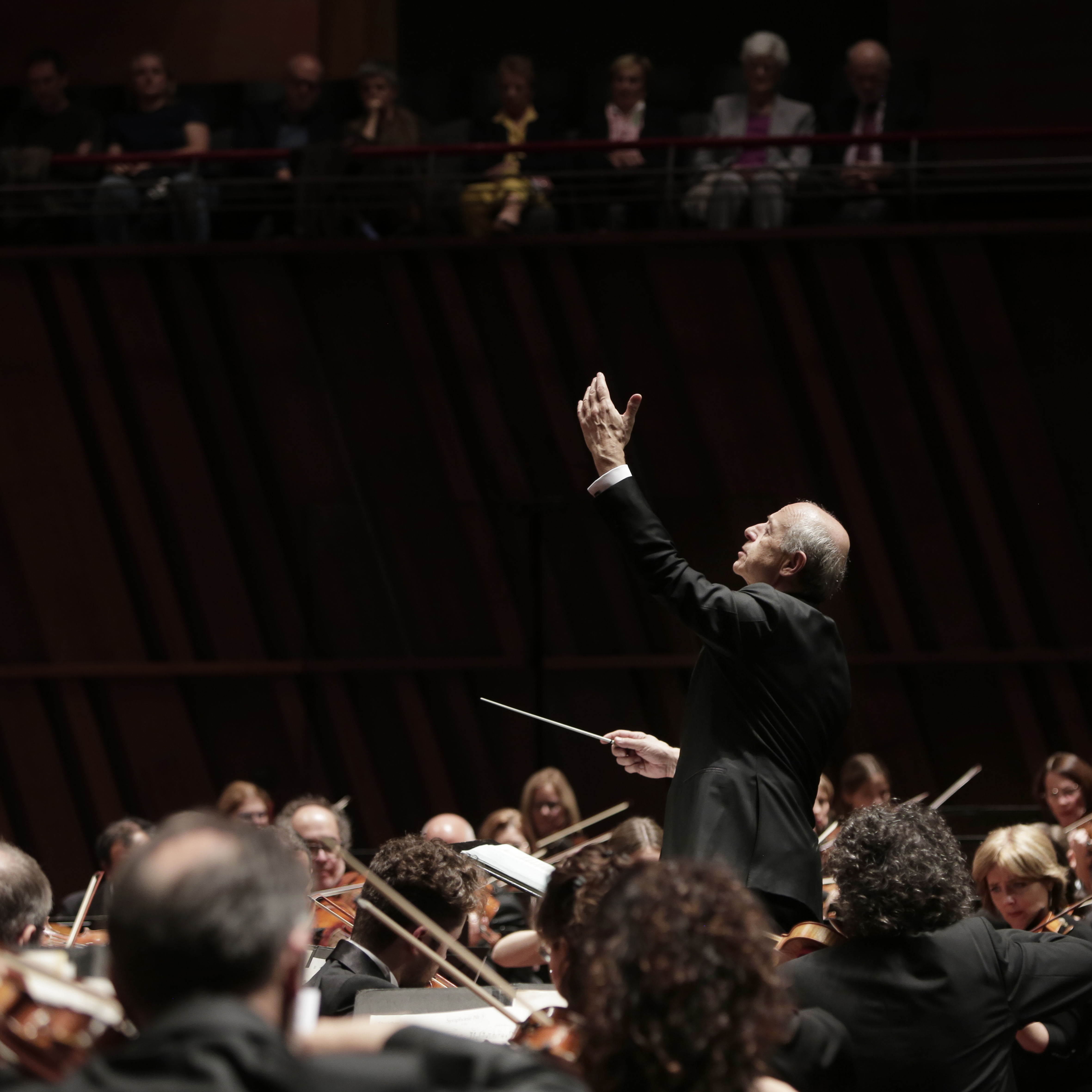 Concert performance